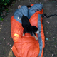 Image for article titled The Coziest Two-Person Sleeping Bag Yet